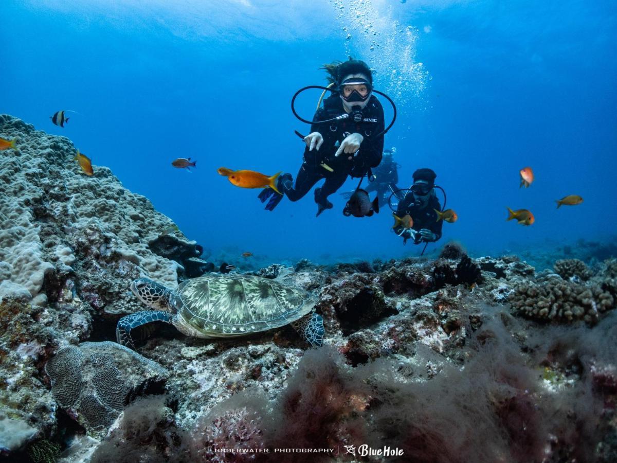 Bed and Breakfast 藍洞潛水blue Hole Dive Center Хенгчун Экстерьер фото