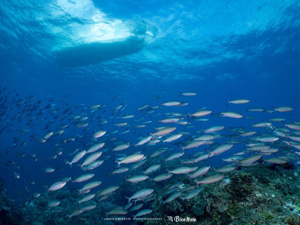Bed and Breakfast 藍洞潛水blue Hole Dive Center Хенгчун Экстерьер фото
